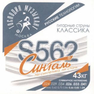 Господин Музыкант S562