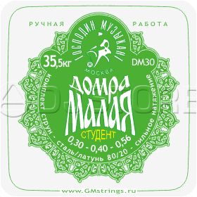 Господин Музыкант DM-30