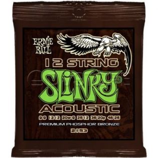 Ernie Ball 2153