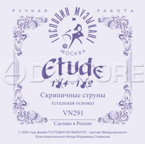 Господин Музыкант VN291