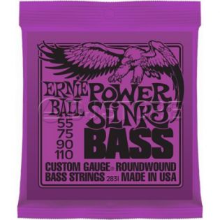 Ernie Ball 2831