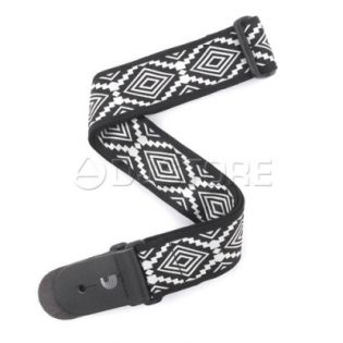 Planet Waves T20W1413