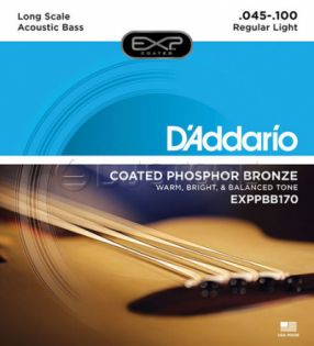 D'Addario EXPPBB170