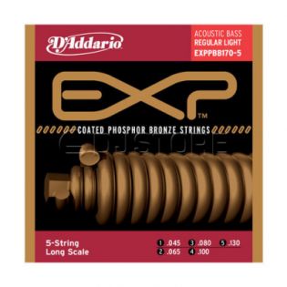 D'Addario EXPPBB170-5