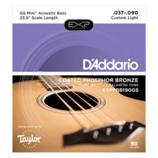D'Addario EXPPBB190GS