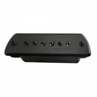 Fishman Blackstack Passive