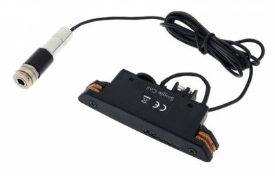 Fishman Rare Earth Single