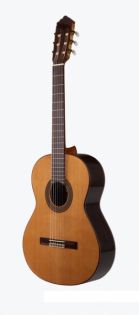 Prodipe JMFSOLOIST500