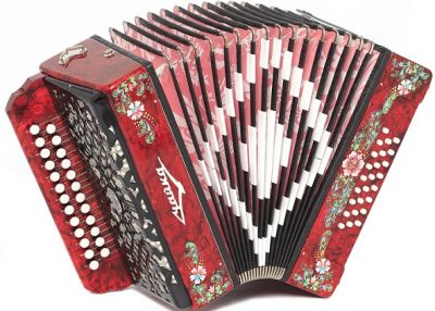 Шуйская гармонь Чайка 204 25х25-II красная