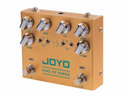 Joyo R-20