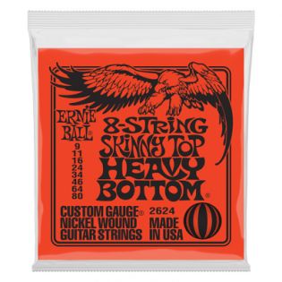 Ernie Ball 2624