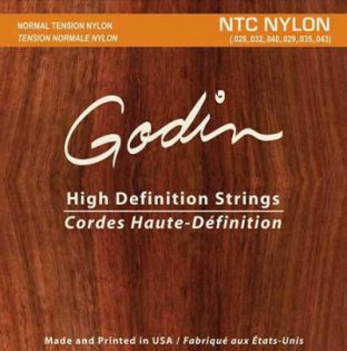 Godin 009350
