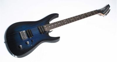 Inspector Guitars Koyot HMR Blue