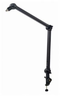 Roadworx Microphone Arm
