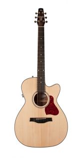 Seagull Maritime SWS Concert Hall CW QIT