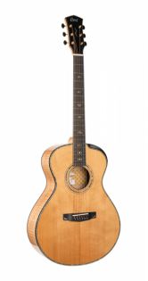 Cort Gold-Passion-WCASE-NAT