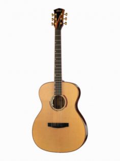 Cort Abstract-Delta-WCASE-NAT