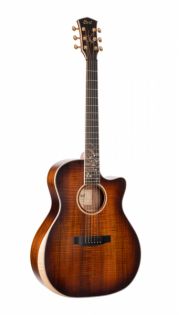 Cort TheBlackTree-LE-WCASE-LBS