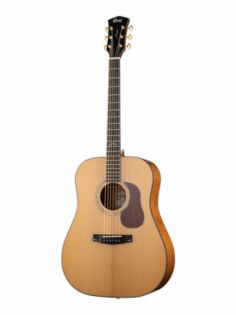 Cort GOLD-D6-WCASE-NAT