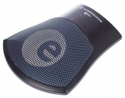 Sennheiser E 901