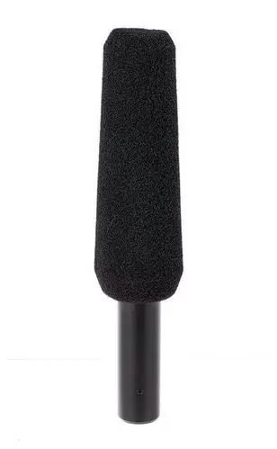 Audio-Technica AT875R