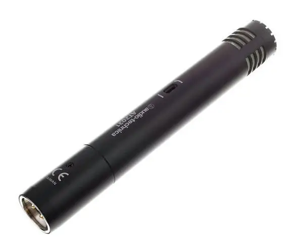 Audio-Technica AT2031