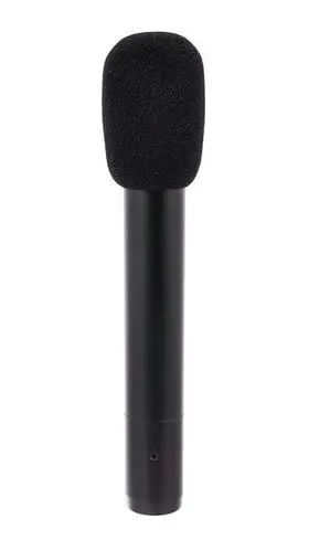 Audio-Technica AT2031