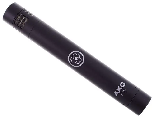 AKG P170