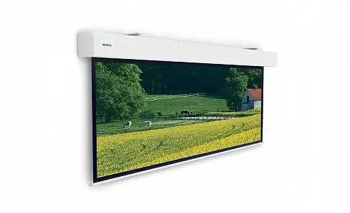 Projecta Elpro Large Electrol (10100334) 286x500 см