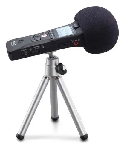 Zoom APH-1n