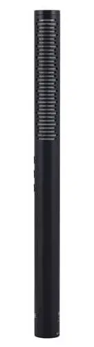 RODE NTG4 +