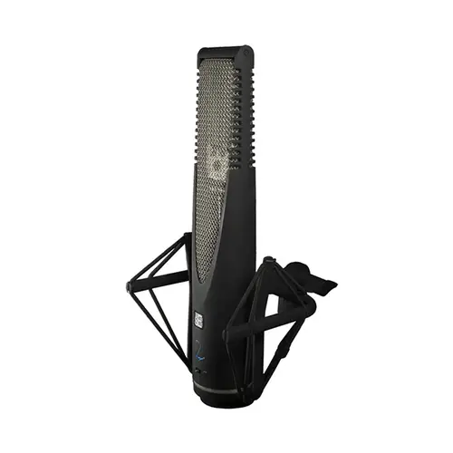 sE Electronics RNR1