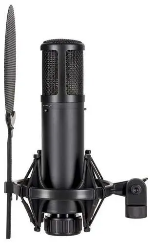 sE Electronics SE 2300