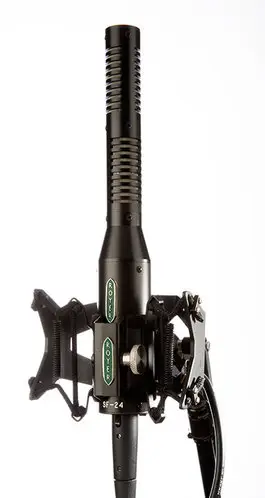 Royer Labs SF-24