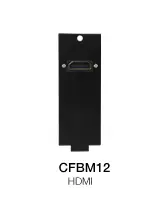 Soundking CFBM12