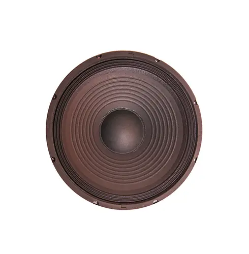 Leem Speaker-SPA12