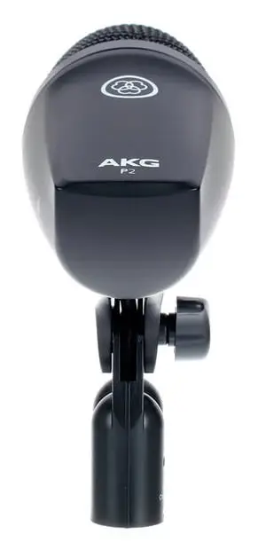 AKG P2