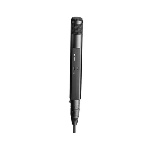 Sennheiser MKH 30-P48