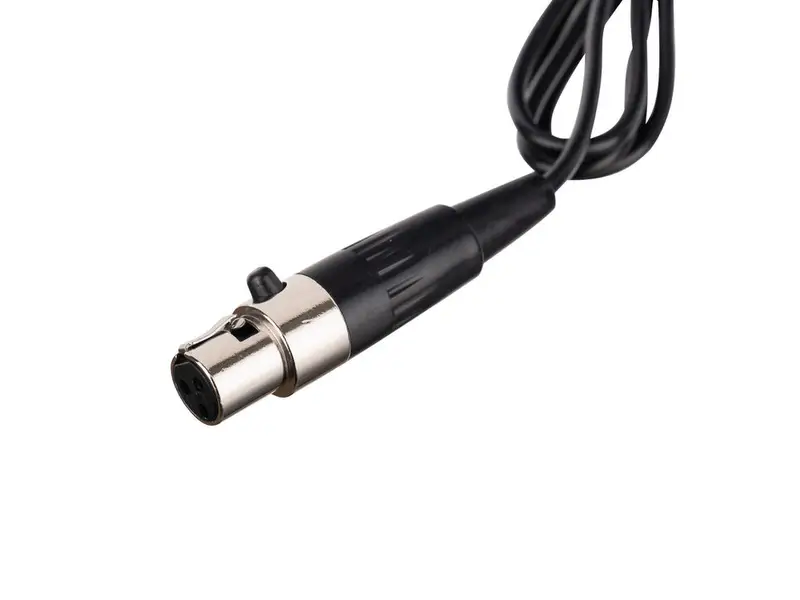 LAudio C2