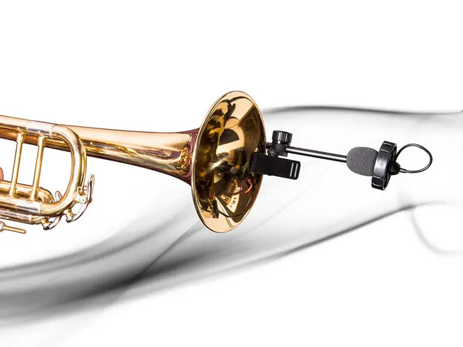 Prodipe SB21