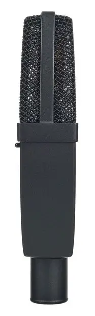 sE Electronics sE4100