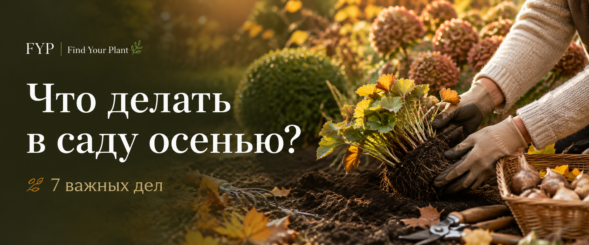 7 вещей, которые стоит сделать в саду осенью, чтобы весной не начинать всё заново