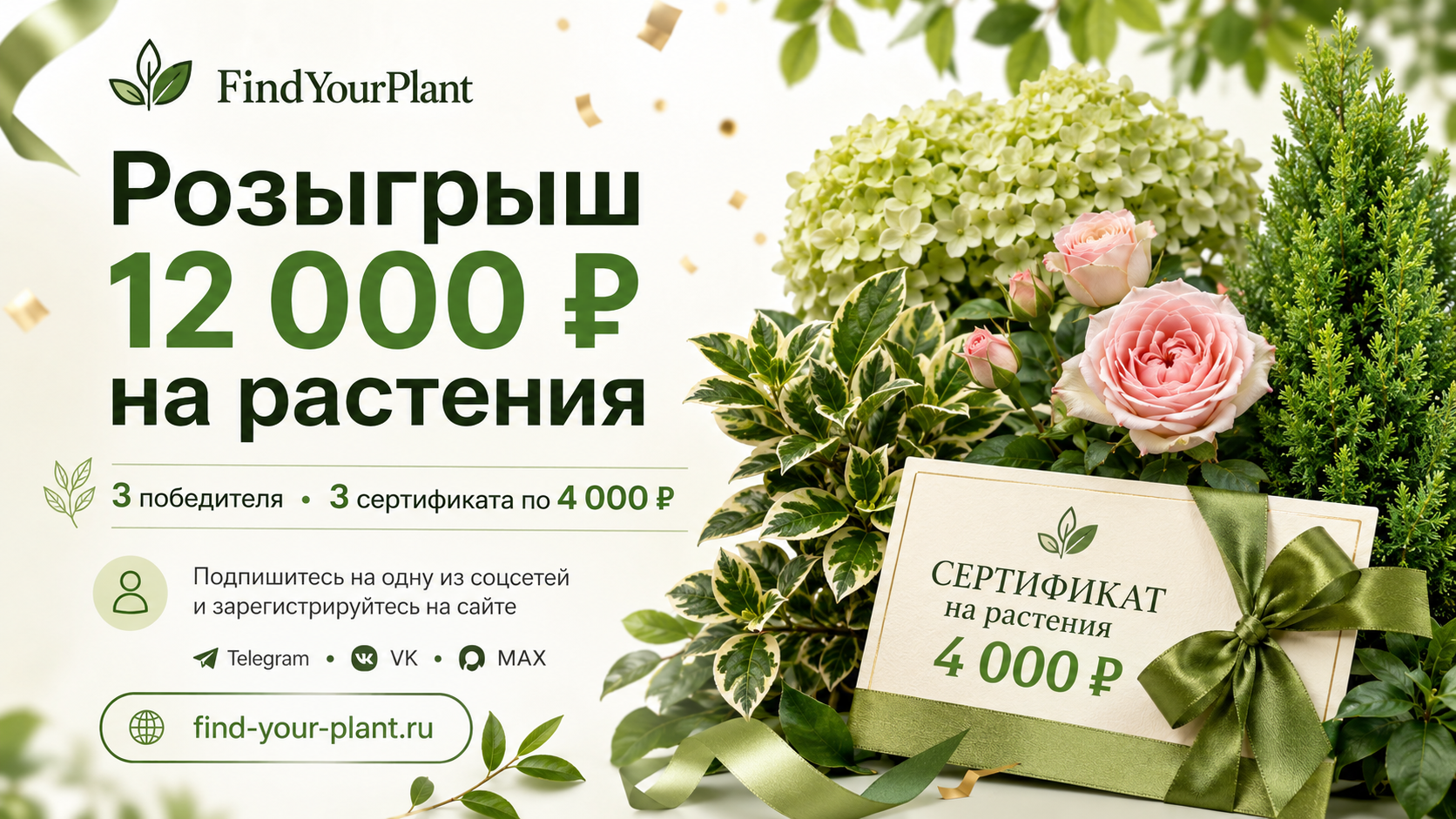 Розыгрыш 12 000 ₽ на растения 🌿