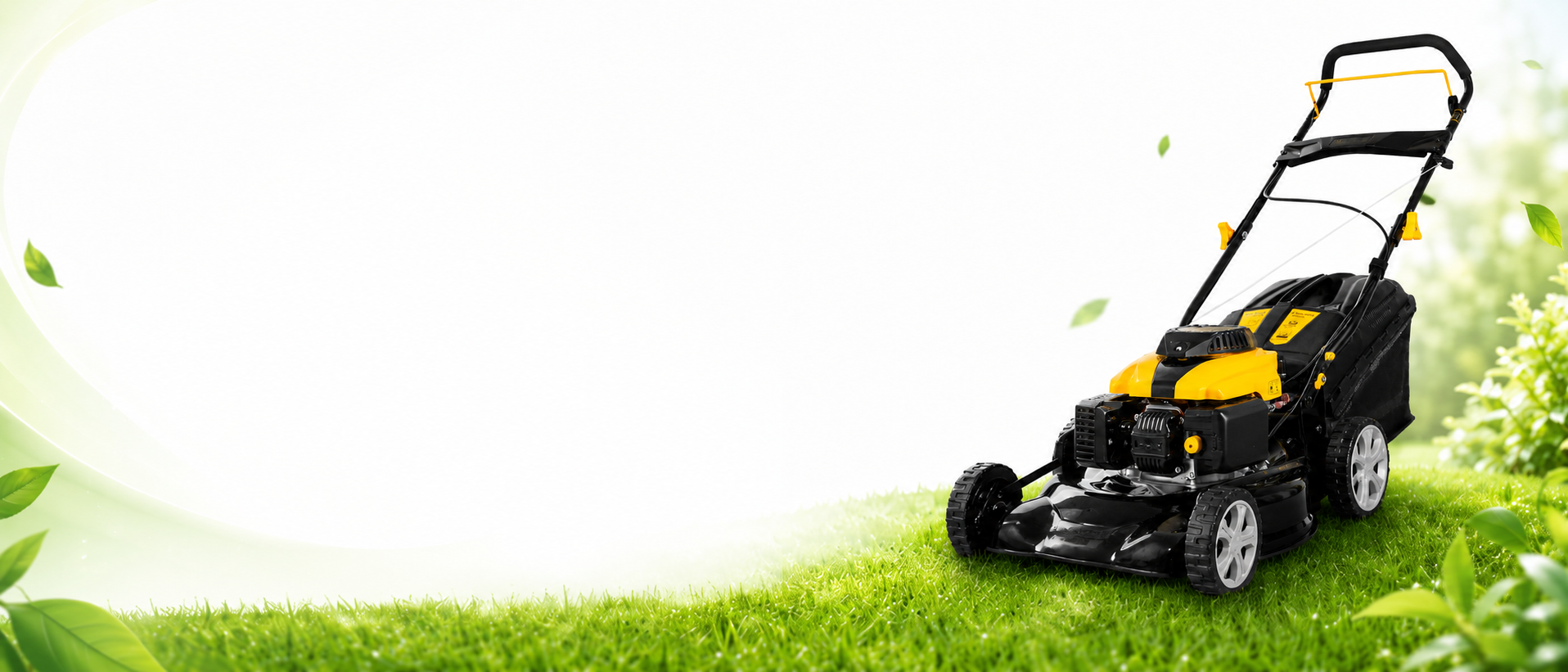 Выиграй бензиновую газонокосилку CHAMPION LM4215 от FindYourPlant