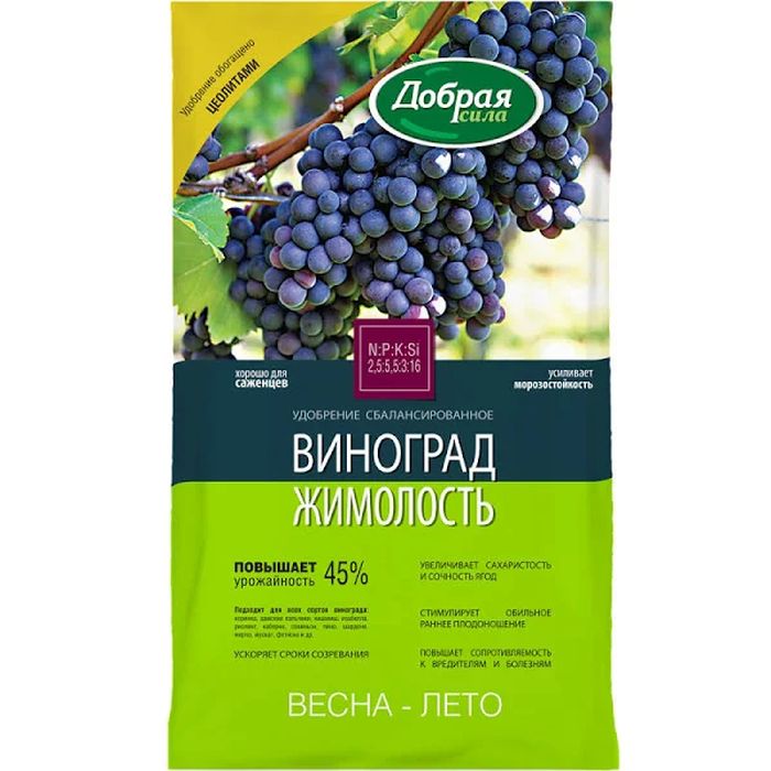 Добрая Сила, Виноград-Жимолость