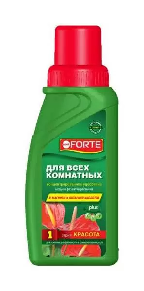 BONA FORTE Красота для комнатных растений