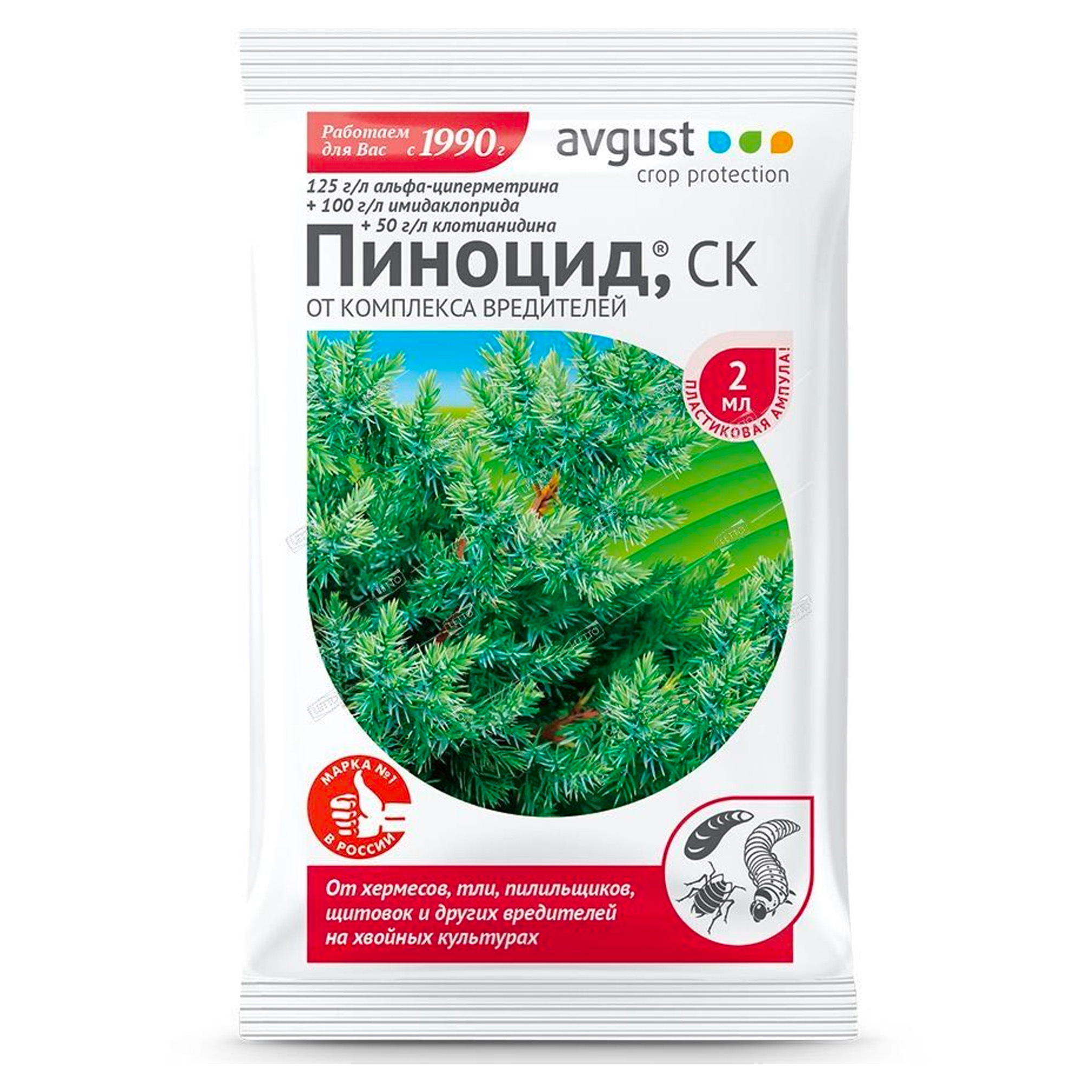 AVGUST Пиноцид для хвойных