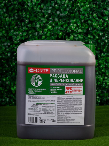 Bona Forte Professional Жидкое удобрение РАССАДА И ЧЕРЕНКОВАНИЕ, канистра 5 л