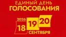 Выборы как система обратной связи: почему ваш голос — это иммунный ответ общества