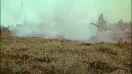 "Ударная сила" 35 серия. Истребитель танков. 